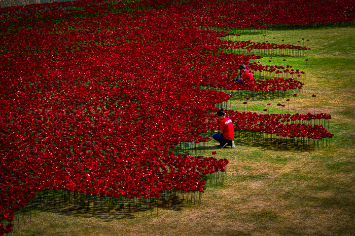 Londres - The Tower of London - 03